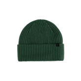 Forecast Beanie - Pine