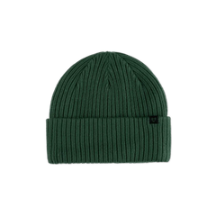 Forecast Beanie - Pine